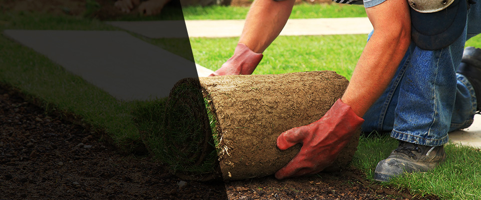 Camino Landscapers